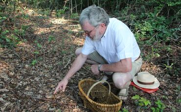 Pilze sammeln 01.jpg_0