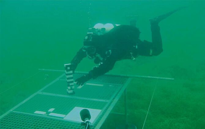 51e13684-6269-434c-9e51-a63bf94ecfe7.jpg_1