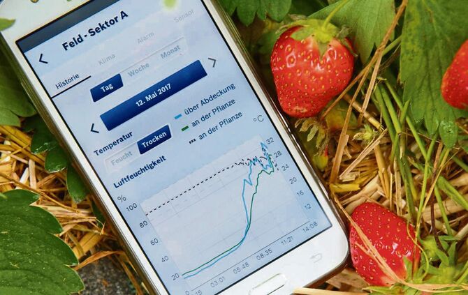 1355a622-d0c0-40a8-9d9a-a11fb9cf9693.jpg_0