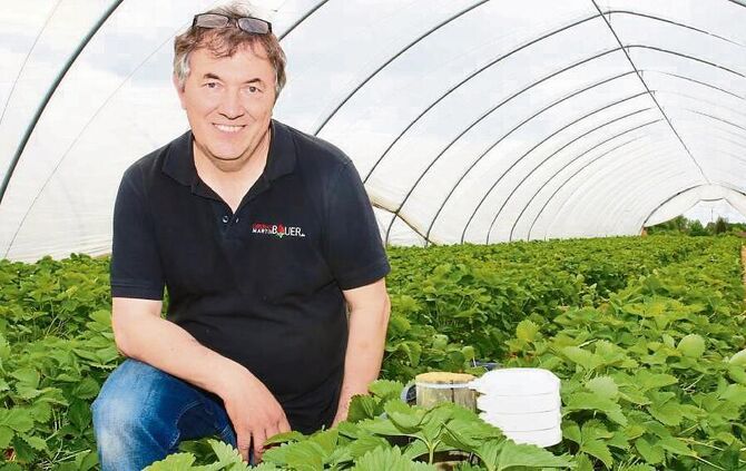 d58d7d32-131c-493e-b89e-19d5b3b395ee.jpg_1