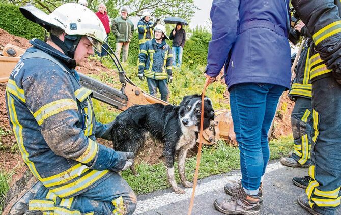 Hund aus Entwaesserungsrohr befreit, Waiblingen-Bittenfeld, Rems-Murr-Kreis, Ba.-Wue., 04.05.2017.