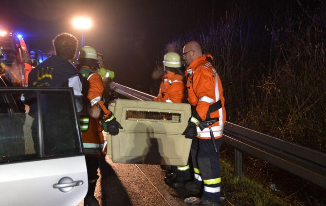 Schwerer Frontalcrash auf der B29 Höhe Böbingen - B29 komplett gesperrt - Auch ein Hund wurde verletzt