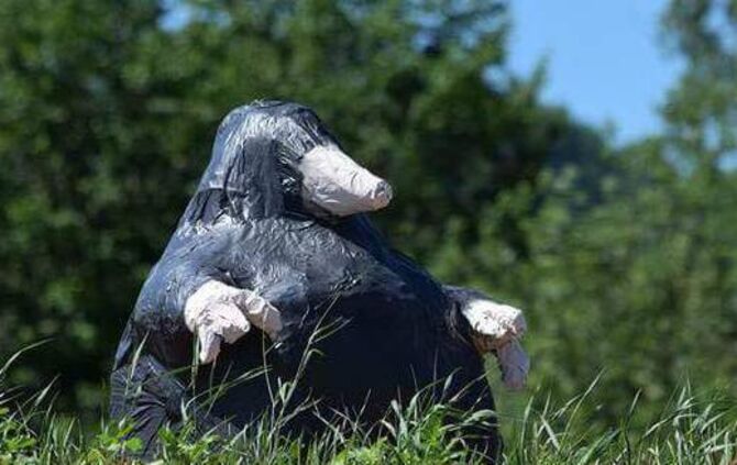 80725ba0-de0b-48be-865d-f62e9903eac7.jpg_0