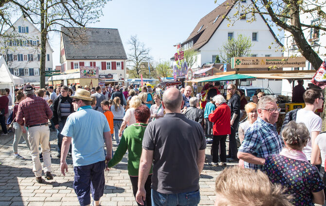 Frühlingserwachen - Bild 07_8