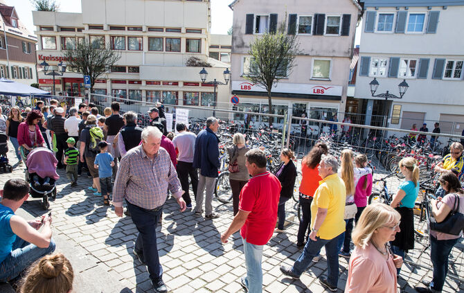 Frühlingserwachen - Bild 16_15