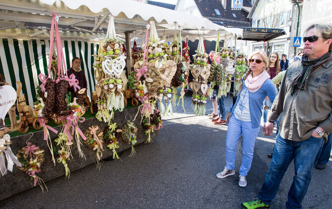 Frühlingserwachen - Bild 20_19