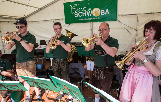 Frühlingserwachen - Bild 23_22