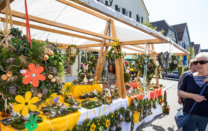 Frühlingserwachen - Bild 24_23