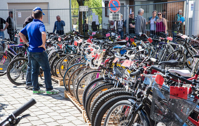 Frühlingserwachen - Bild 28_27