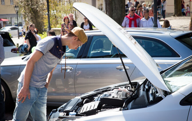 Frühlingserwachen - Bild 32_31