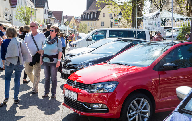 Frühlingserwachen - Bild 37_36