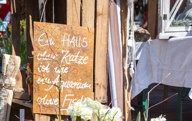 Frühlingserwachen - Bild 38_37