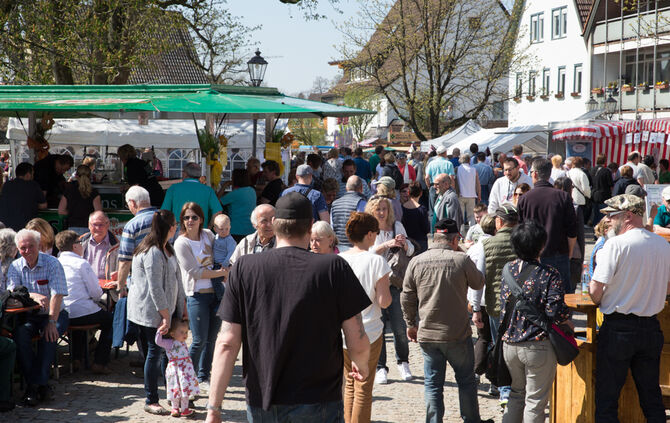 Frühlingserwachen - Bild 41_40