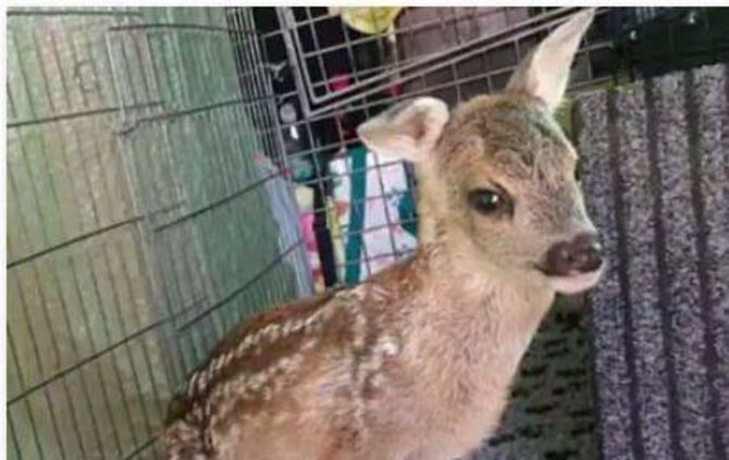 6ef24813-6c50-468f-b0e0-ca1df60ed3a8.jpg_0