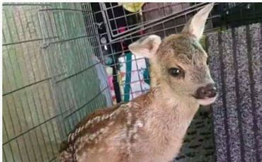 6ef24813-6c50-468f-b0e0-ca1df60ed3a8.jpg_0