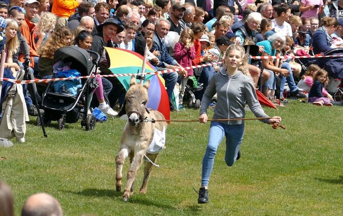 Eselrennen Hößlinswart - Bild 04_0