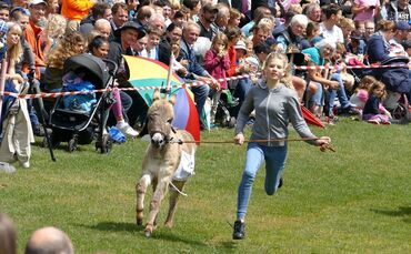 Eselrennen Hößlinswart - Bild 04_0