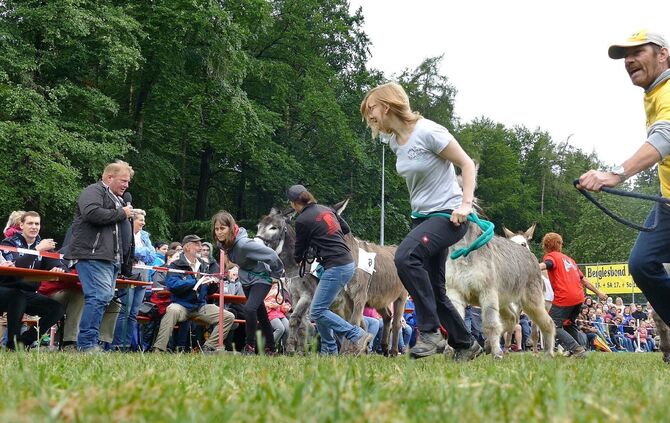 Eselrennen Hößlinswart - Bild 01_1