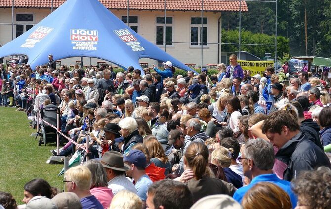 Eselrennen Hößlinswart - Bild 08_7