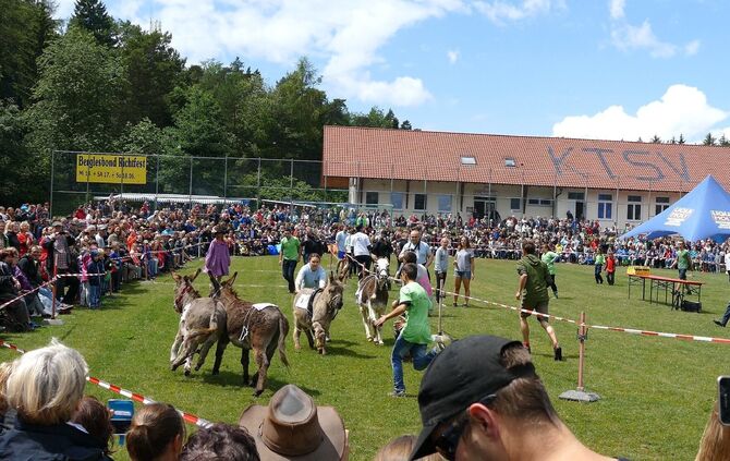 Eselrennen Hößlinswart - Bild 10_9