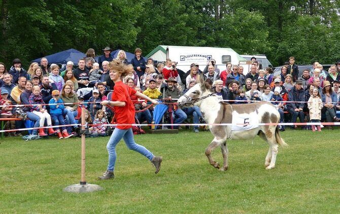 Eselrennen Hößlinswart - Bild 11_10