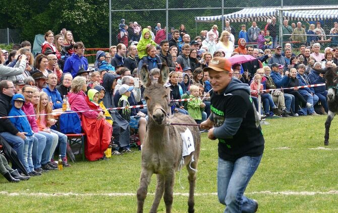 Eselrennen Hößlinswart - Bild 13_12