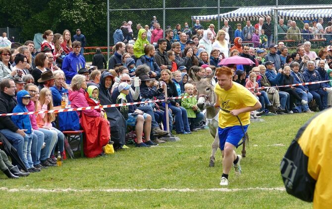 Eselrennen Hößlinswart - Bild 15_14