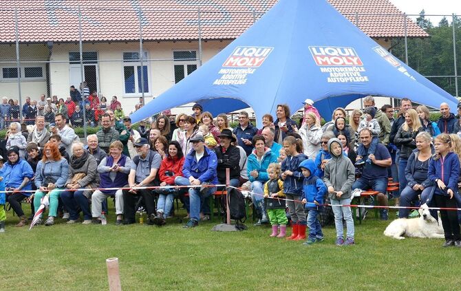 Eselrennen Hößlinswart - Bild 16_15