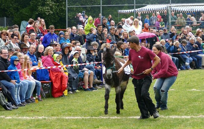 Eselrennen Hößlinswart - Bild 17_16