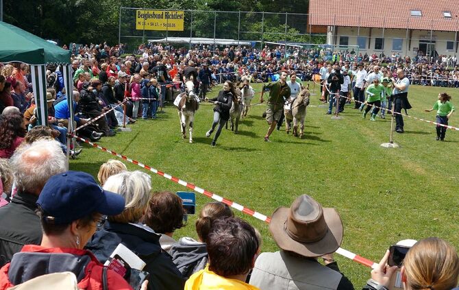 Eselrennen Hößlinswart - Bild 18_17