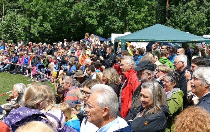 Eselrennen Hößlinswart - Bild 22_21