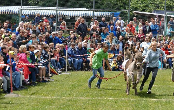 Eselrennen Hößlinswart - Bild 23_22