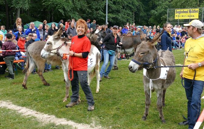 Eselrennen Hößlinswart - Bild 25_24