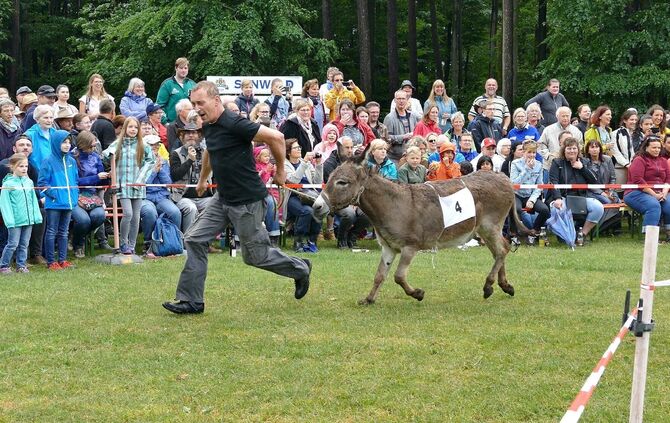 Eselrennen Hößlinswart - Bild 26_25