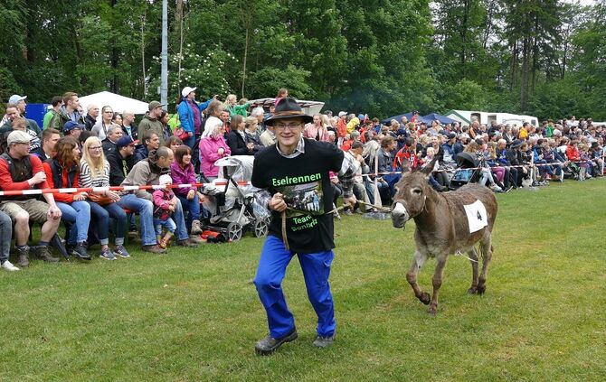 Eselrennen Hößlinswart - Bild 32_31