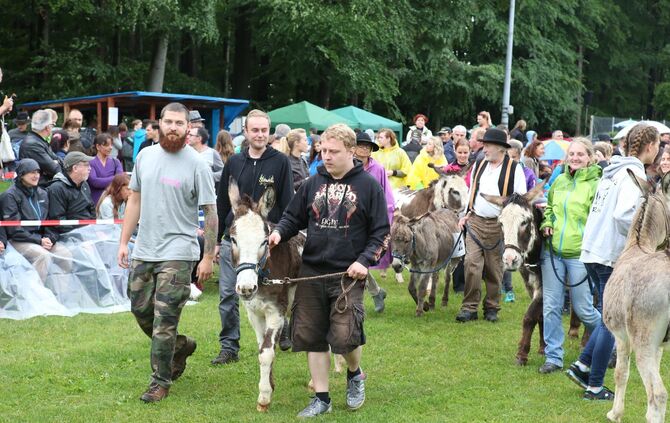 Eselrennen Hößlinswart - Bild 36_35