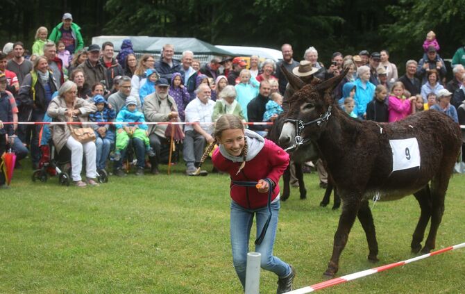 Eselrennen Hößlinswart - Bild 37_36