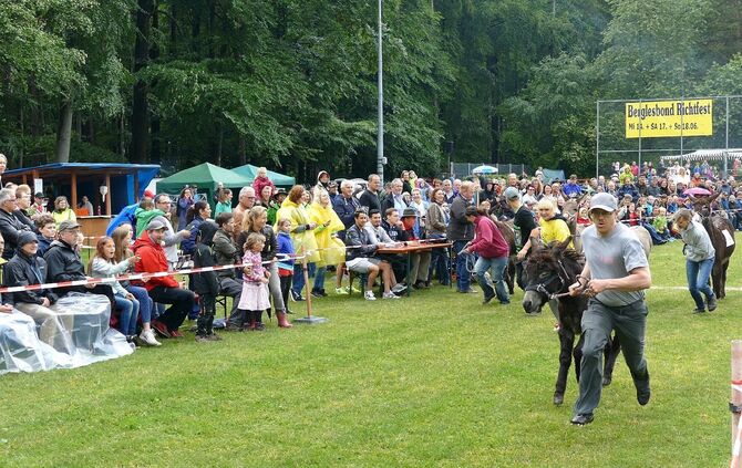 Eselrennen Hößlinswart - Bild 40_39