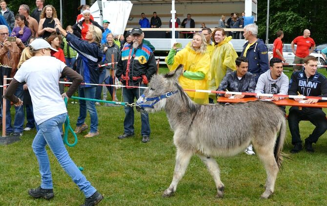 Eselrennen Hößlinswart - Bild 42_41