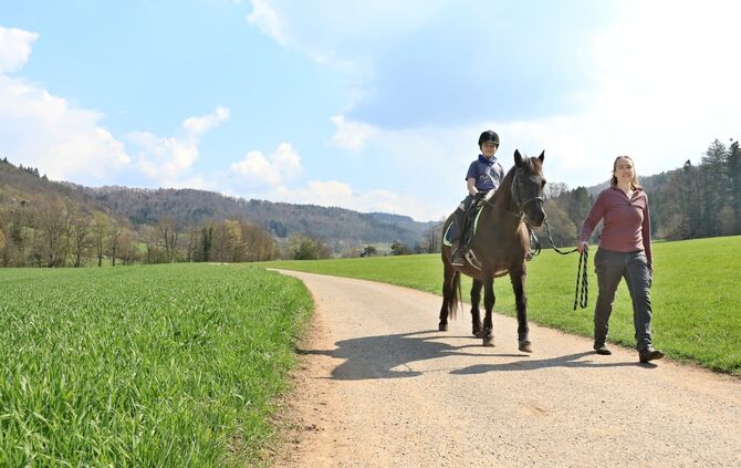 Ponyreiten