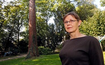 Mammut Schloss, Günter Gesing und seine Frau Der Mammutbaum im Garten des Rechtsanwalts Günter Gesing_0