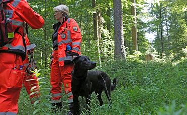 fd8a8a70-faec-4721-825b-94bd7278a545.jpg_0