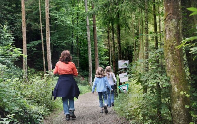 Wald Wanderung ausflug freizeit symbol symbolbild symbolfoto