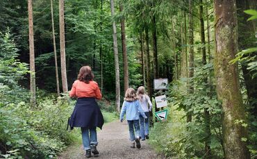 Wald Wanderung ausflug freizeit symbol symbolbild symbolfoto