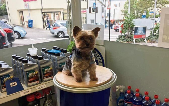 3f0de66b-c173-4321-95bd-98d12fcd68ab.jpg_0