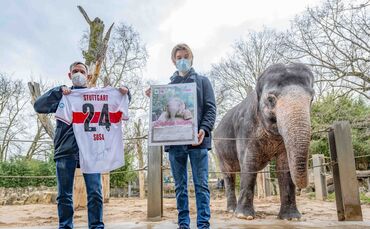 Wilhelma Stuttgart VfB Stuttgart Borna Sosa