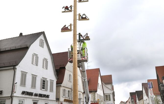 Maibaumwelzheim