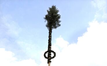 Maibaumwelzheim