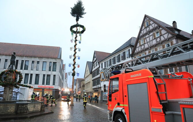 Maibaumsteht