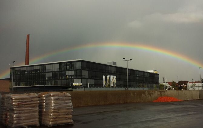Regenbogen Winnenden_6